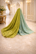 Luxury Green Silk Saree with Two Blouses (Stitched & Unstitched) | Premium Ethnic Wear